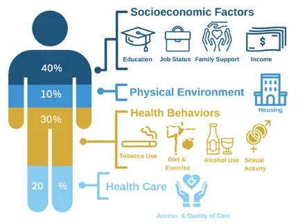 factors that contribute to health from UCLA research