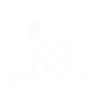 Novo Nordisk