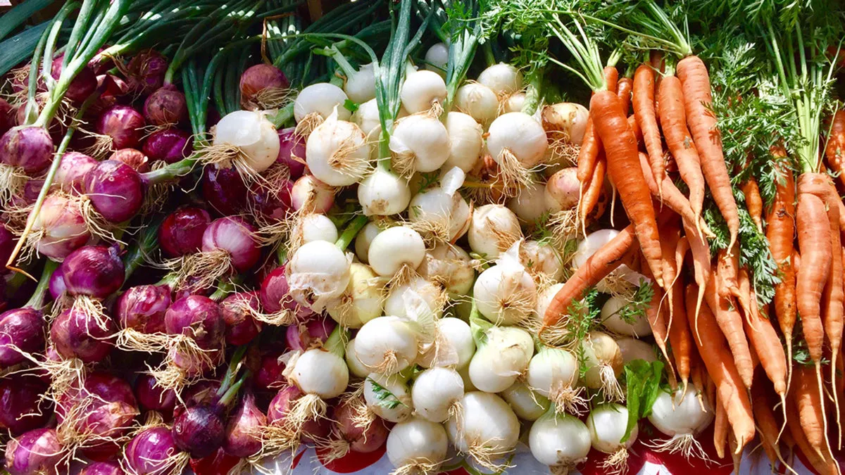 Sustainable Eating: A Healthy Diet for You and the Planet