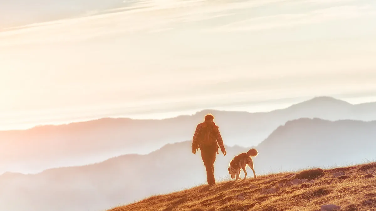 The Benefits of Pets for Human Health