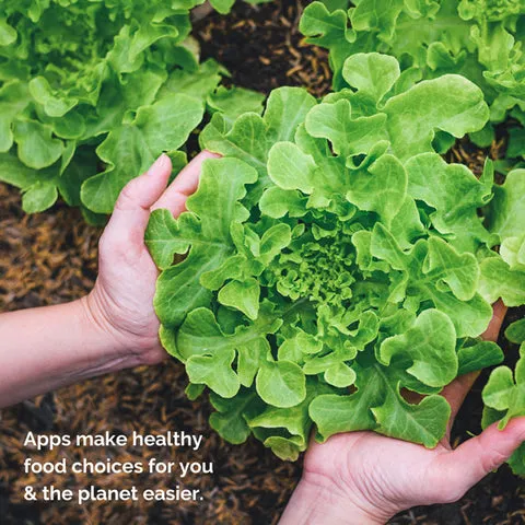 sustainable-eating-a-healthy-diet-for-you-and-the-planet vegetable hand