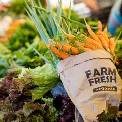 the benefits of gardening farm fresh